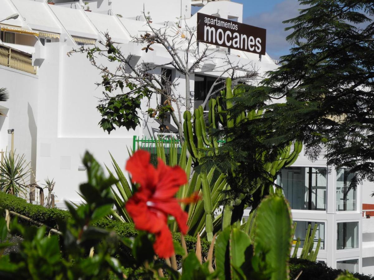 פוארטו ריקו Apartamentos Los Mocanes מראה חיצוני תמונה
